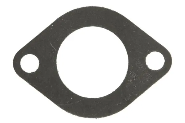 Gasket, intake/exhaust manifold ENT010922