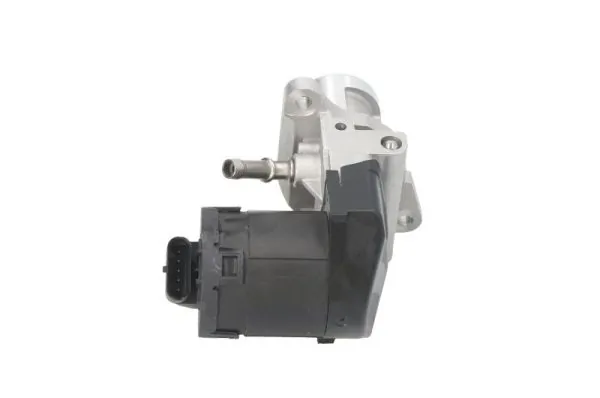 EGR Valve ENT500124