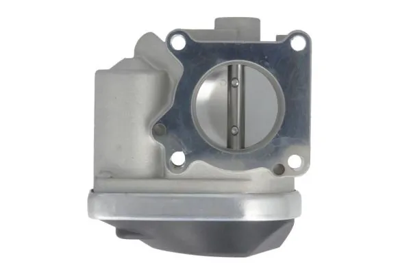 Throttle Body ENT310004