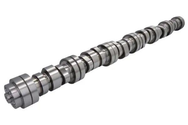 Camshaft ENT080031