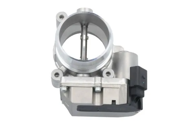Throttle Body ENT310014