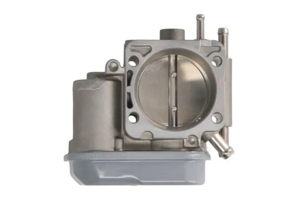 Throttle Body ENT310046