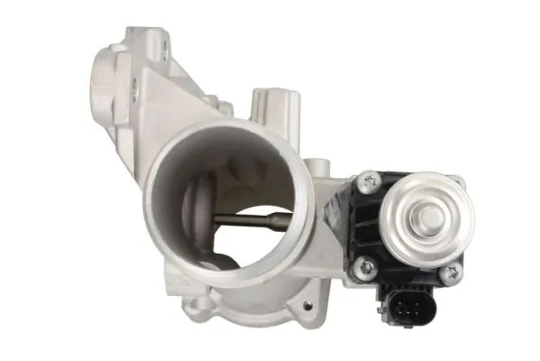 EGR Valve ENT500152