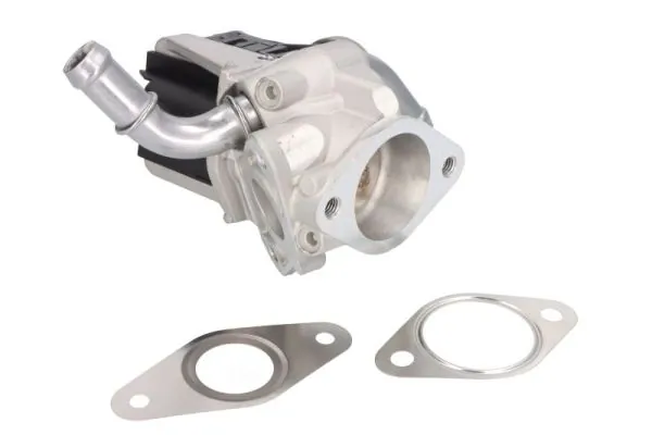 EGR Valve ENT500058