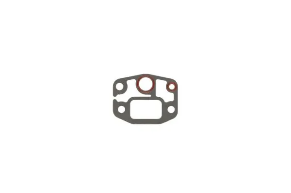 Gasket, intake manifold ENT010286