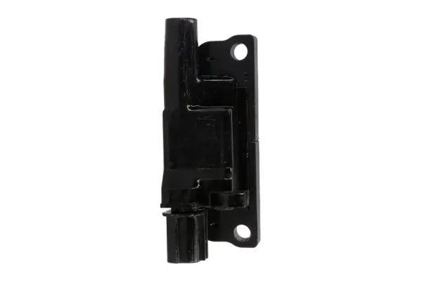 Ignition Coil ENT960019
