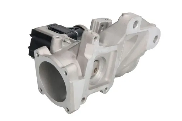 EGR Valve ENT500152