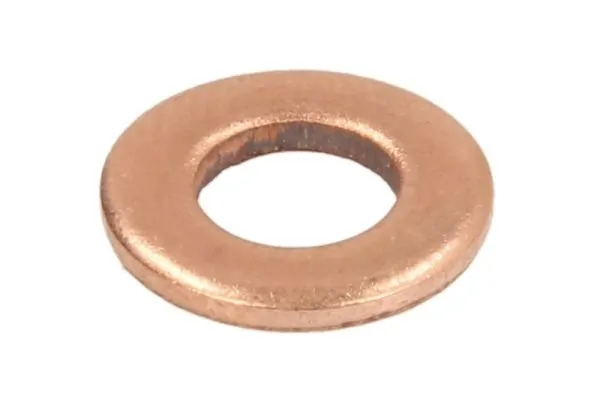 Seal, injector holder ENT250161/1