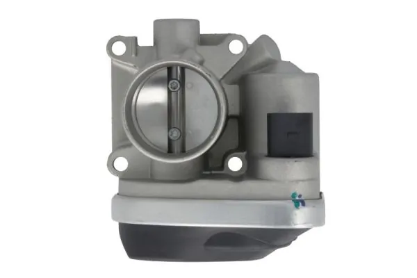 Throttle Body ENT310004