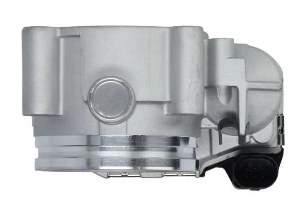 Throttle Body ENT310055
