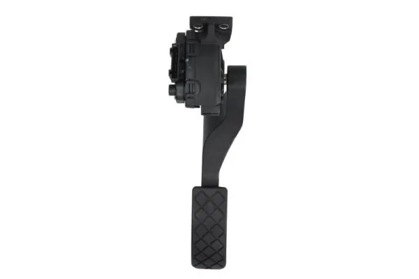 Accelerator Pedal ENT880013