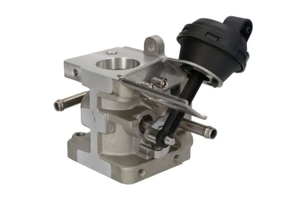 EGR Valve ENT500159