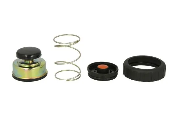 Repair Kit, fuel pump ENT110345