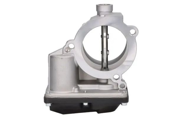 Throttle Body ENT310051