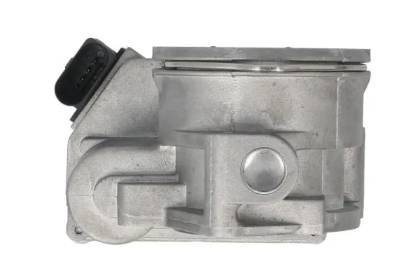 Throttle Body ENT310015
