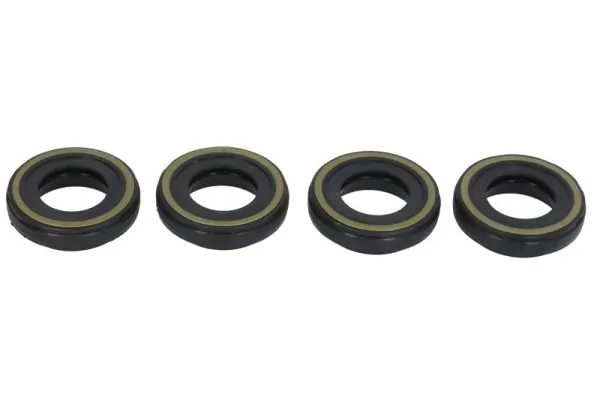 Seal, injector holder ENT250562