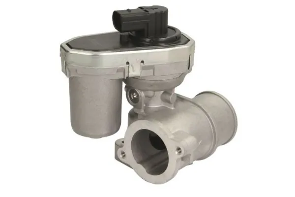 EGR Valve ENT500057