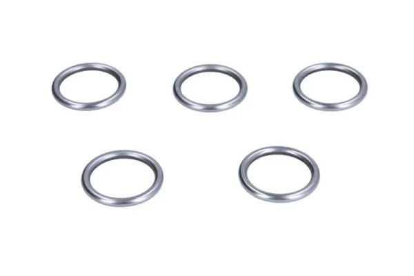 Seal Ring, injector ENT250139