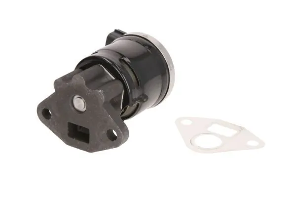 EGR Valve ENT500143