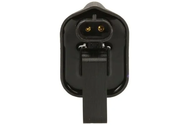 Ignition Coil ENT960088