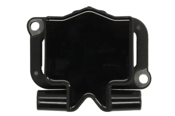 Ignition Coil ENT960079