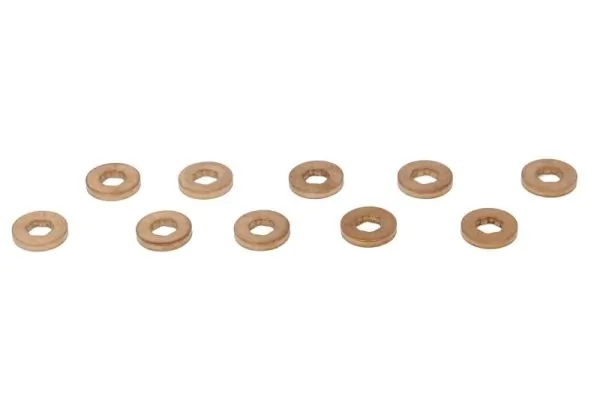 Seal, injector holder ENT250045