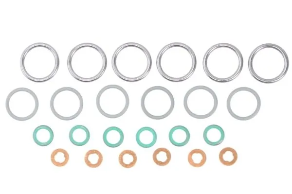 Seal Ring, injector ENT250405