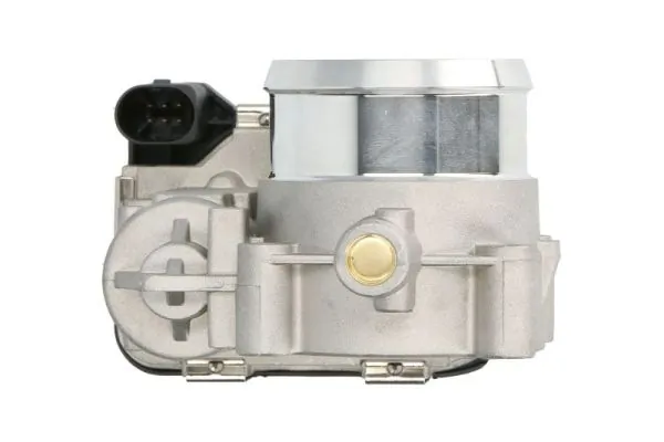 Throttle Body ENT310056