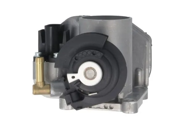 Throttle Body ENT310001