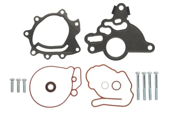 Repair Set, vacuum pump (braking system) ENT410012