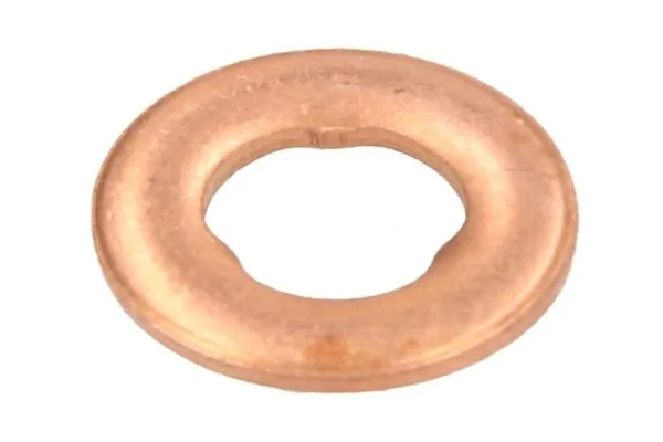 Seal, injector holder ENT250228/1