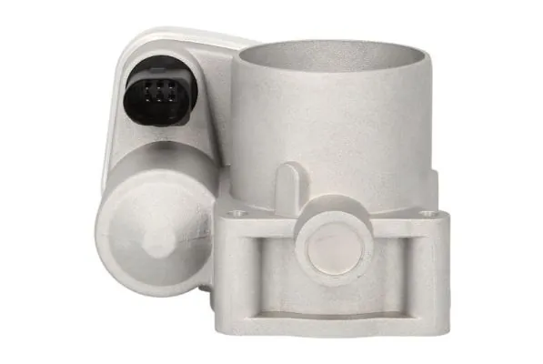 Throttle Body ENT310028