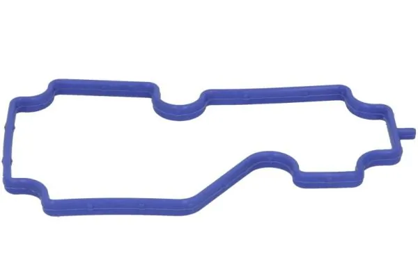 Gasket, cylinder head ENT020105