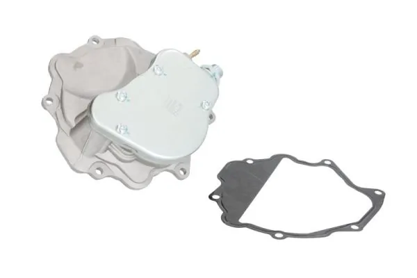 Vacuum Pump, braking system ENT400002