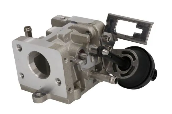 EGR Valve ENT500159