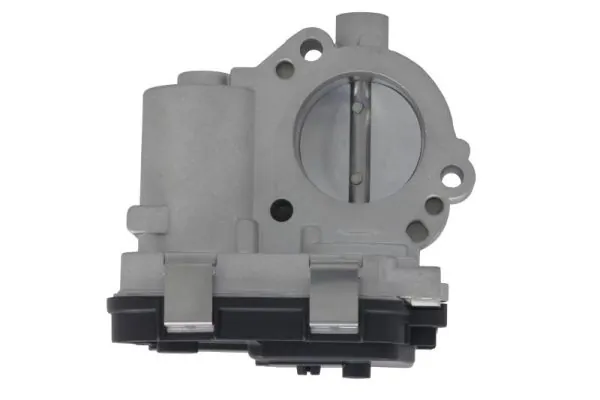 Throttle Body ENT310059