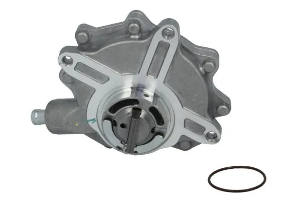 Vacuum Pump, braking system ENT400011