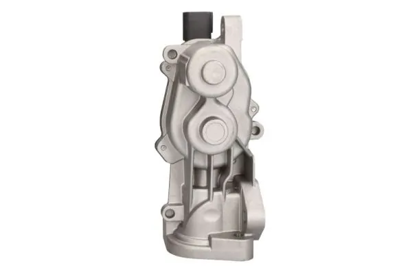 EGR Valve ENT500162