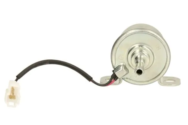 Fuel Pump ENT110432
