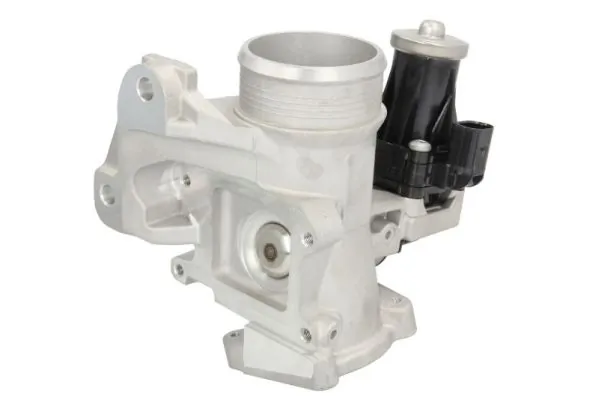 EGR Valve ENT500152