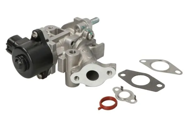 EGR Valve ENT500174