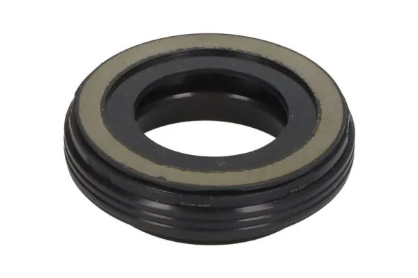Seal Ring, injector ENT250549