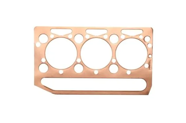 Gasket, cylinder head ENT010183