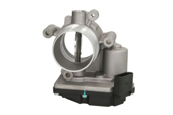 Throttle Body ENT310032