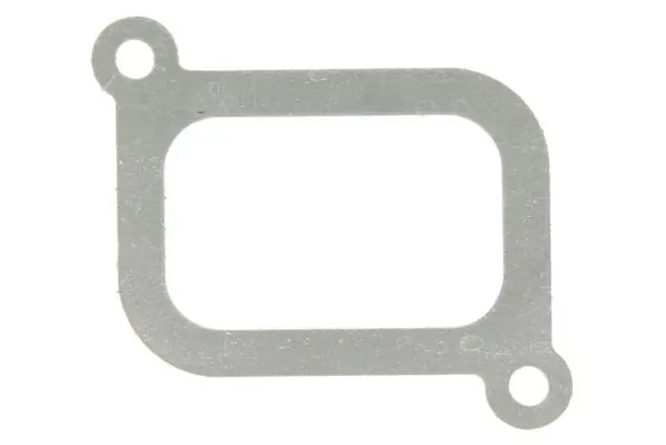 Gasket, intake manifold ENT010296