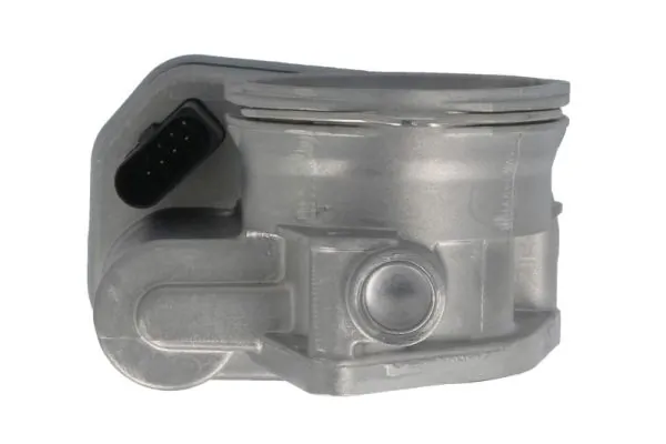 Throttle Body ENT310012