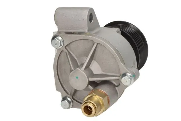 Vacuum Pump, braking system ENT400004