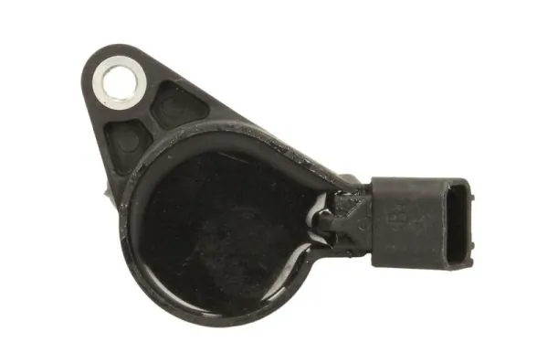 Ignition Coil ENT960091