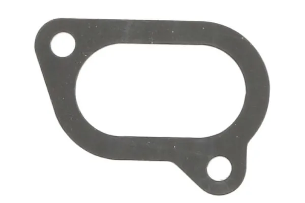Gasket, intake manifold ENT010615