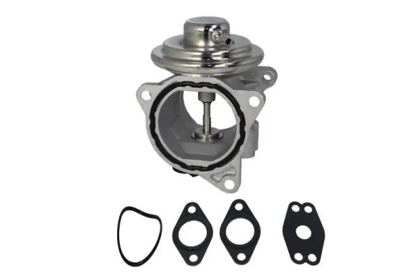 EGR Valve ENT500019